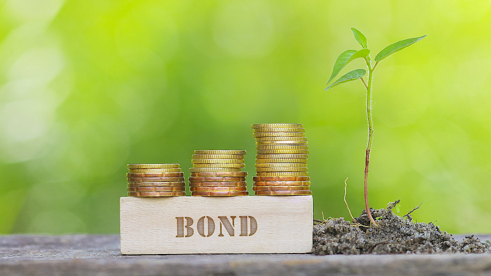 Nordea AM legt Fonds für grüne Anleihen auf (Foto Shutterstock/nelzamajal)