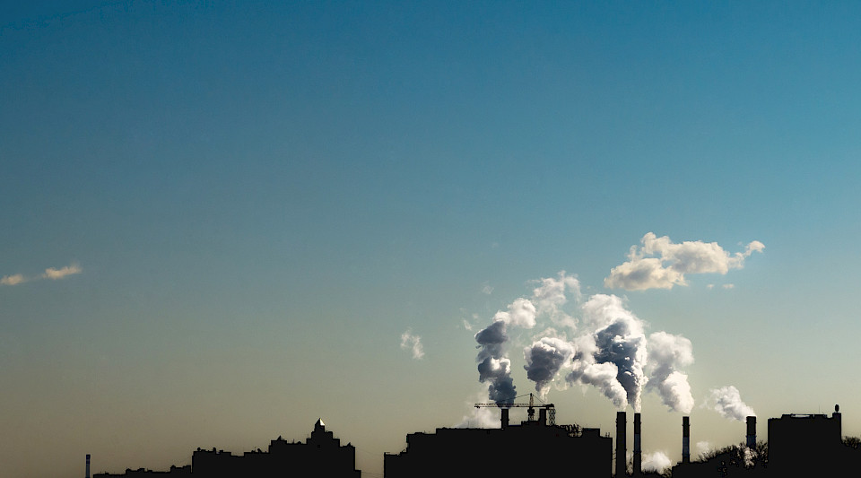Die neuen Anleihen- und Aktienstrategien von LOIM sind darauf ausgelegt, den Übergang zu Netto-Null-CO2-Emissionen zu beschleunigen. (Bild: Shutterstock.com/MelnikovaOlga)