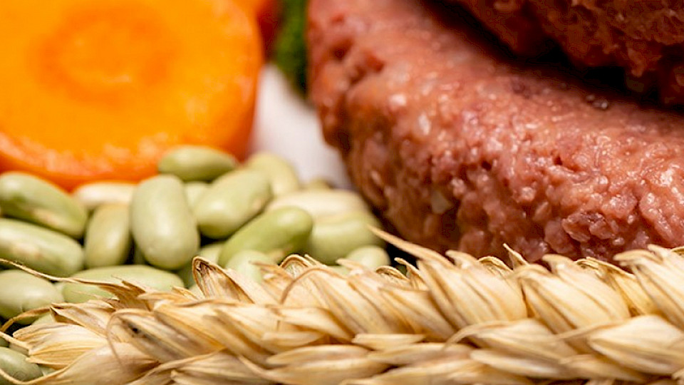 Die Nahrungsmittel der Zukunft werden gesünder und nachhaltiger sein. (Bild: ZVG)