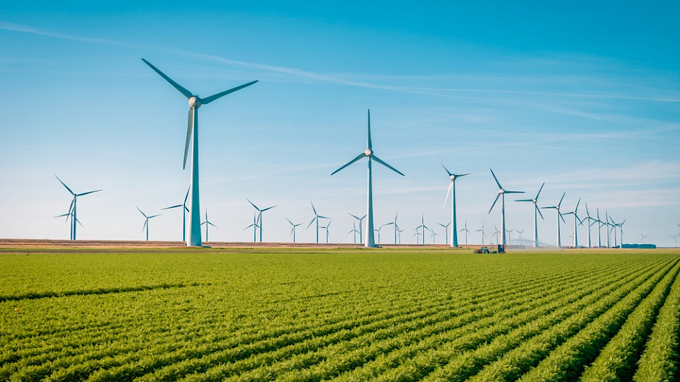 Green Bonds dienen auch zur Finanzierung der nachhaltigen Energieproduktion (Foto Fokke Baarssen, Shutterstock)