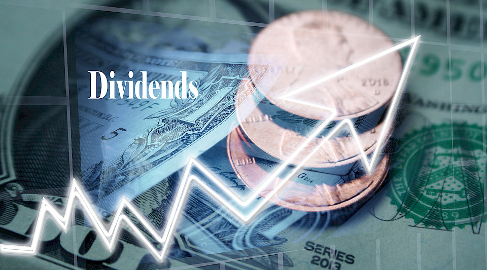 Über das ganze Jahr 2021 gesehen dürften die Dividendenausschüttungen wieder deutlich zulegen. (Bild: Shutterstock.com/Professional)
