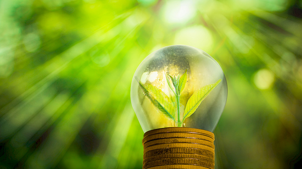 Das Volumen nachhaltiger Fonds stieg um 48% und macht mit 52% (2019: 38%) erstmals mehr als die Hälfte des gesamten Schweizer Fondsmarktes aus. (Bild: Shutterstock.com/Thawornurak)