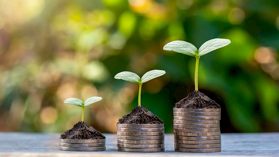 Der weltweite Trend zu nachhaltigem Anlegen hat die Pensionskassen definitiv erfasst. (Bild: Shutterstock.com/MEE KO DONG)