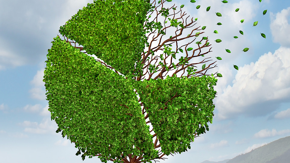 Wegen starrer gesetzlicher Vorgaben können Vorsorgeguthaben nicht renditeträchtig angelegt werden. (Bild: zVg)