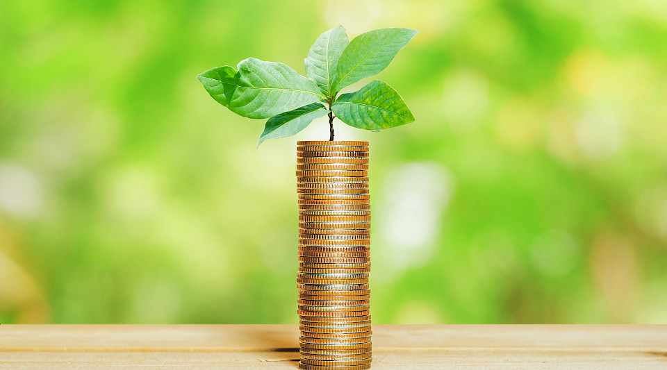 UBS will strengere ökologische Finanzierungsstandards anwenden. (Bild: Shutterstock.com/TH2I Shutter Rich)