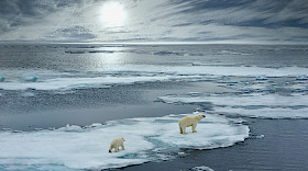 Aufgrund der globalen Klimakrise hat Robeco eine neue Anlagelösung für Klima und Dekarbonisierung entwickelt, die vollständig mit dem Pariser Abkommen im Einklang steht. (Bild: Shutterstock.com/Floridastock)