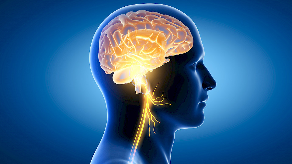 Die Psychologie spielt eine Schlüsselrolle beim Traden. (Bild: Shutterstock.com/Axel Koch)