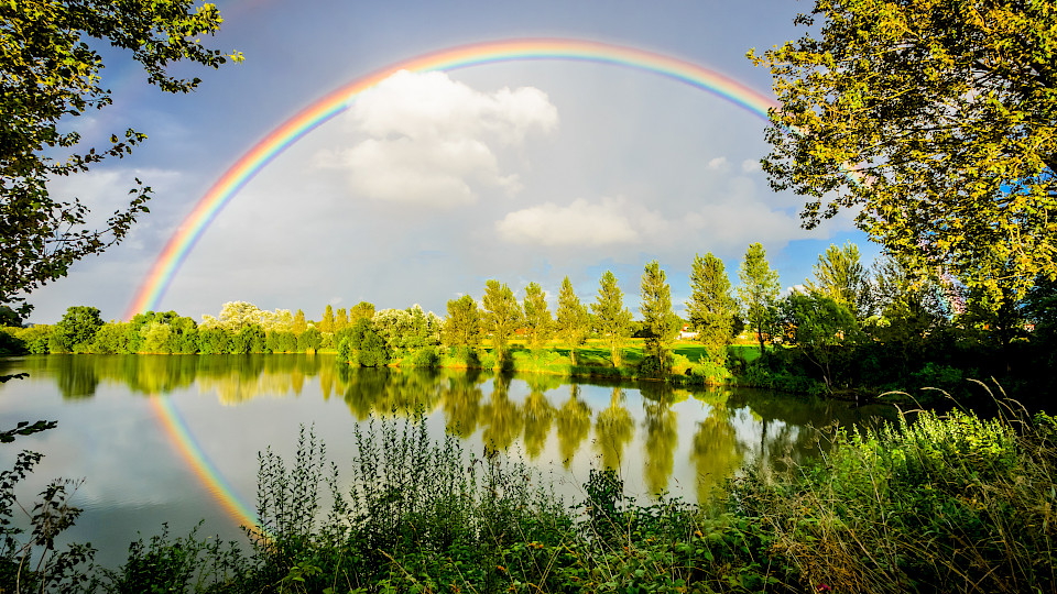Wasserstoff ist eines der am häufigsten vorkommenden chemischen Elemente auf der Erde. (Bild: Shutterstock.com/IanSt8)