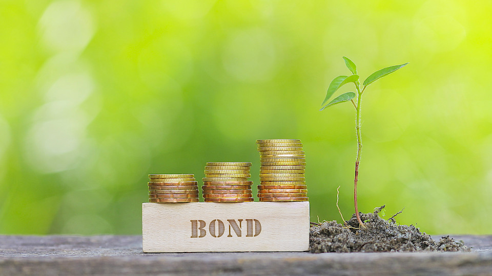 Im ersten Halbjahr 2021 wurden Green Bonds im Rekordwert von 33 Mrd. USD ausgegeben. (Bild: Shutterstock.com/nelzamajal)