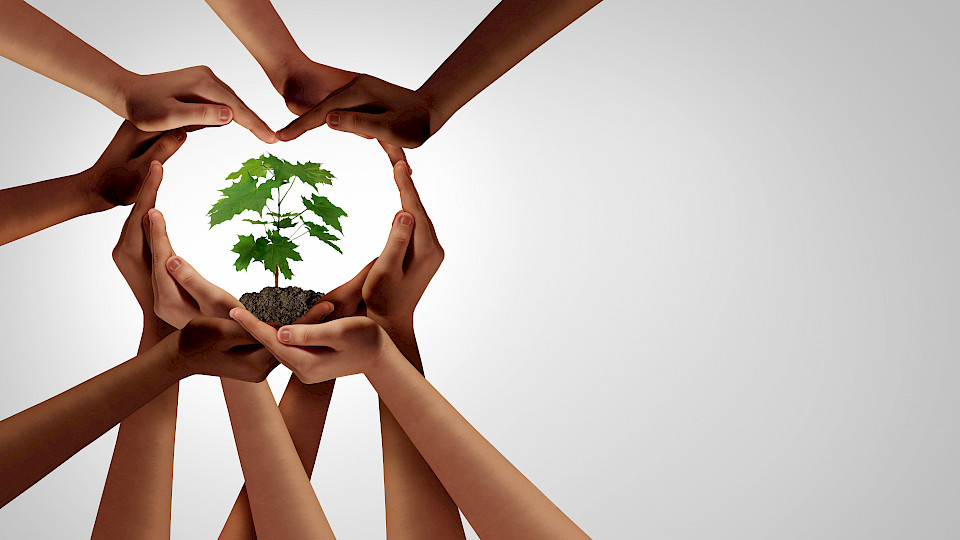 SNB und Finma sind dem "Network for Greening the Financial System" beigetreten. (Bild: Shutterstock.com/ck)