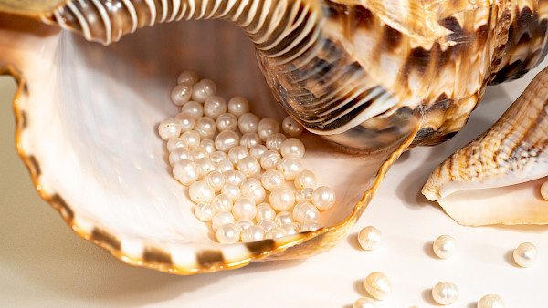 Das sind die Renditeperlen fürs neue Jahr