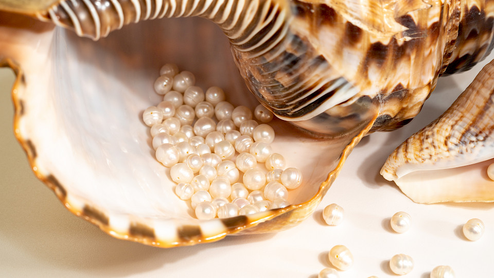 Am FuW-Seminar "Opportunities 2022" stellten fünf Anlageexpertinnen und -experten ihre Anlagefavoriten vor. (Bild: Shutterstock.com/Ammatar)