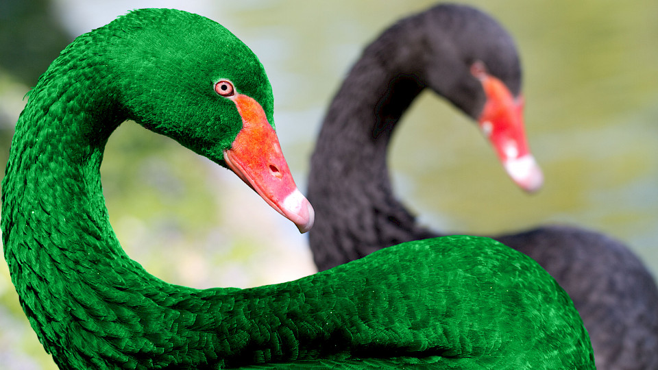 Klimabedingte Risiken können extrem und unvorbereitet eintreten. (Foto zvg)