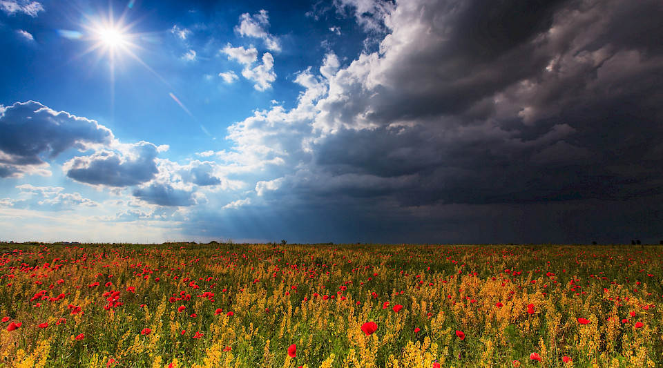 Wandelanleihen erfreuen bei Sonnenschein an den Märkten und bei aufziehenden Gewittern. (Bild: Shutterstock.com/Calin Tatu)