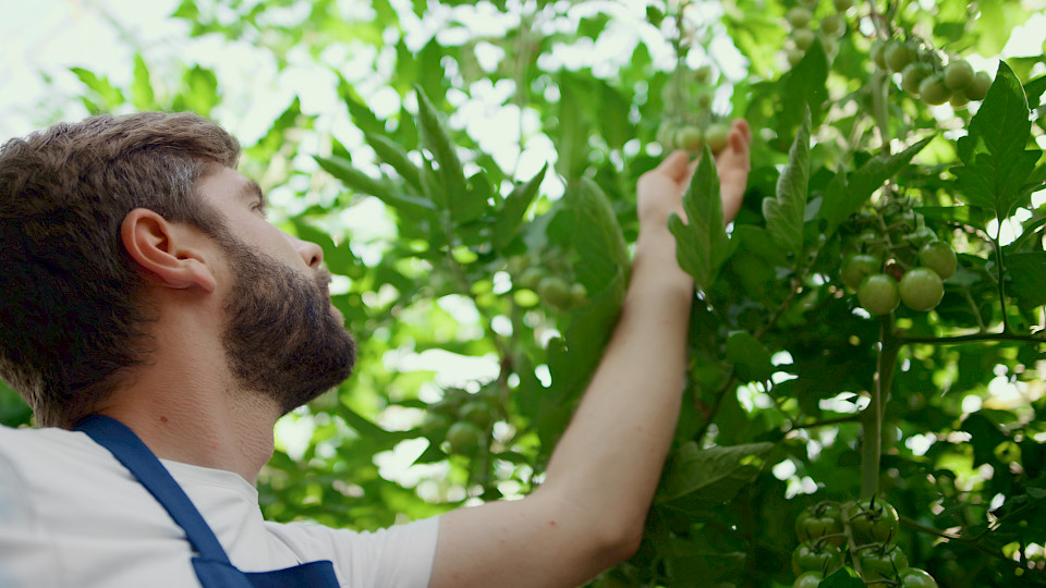 Die Genfer Bank kooperiert mit der britischen PeakBridge für eine gesunde Ernährung. (Bild: shutterstock.com/Stockbusters)