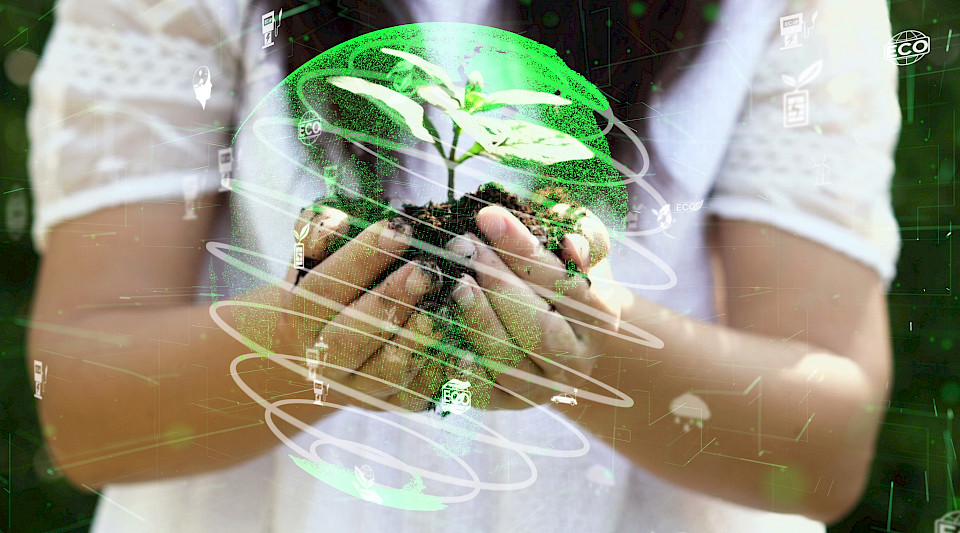 Pando richtet sich an Personen, die Wert auf eine nachhaltige Anlagestrategie legen. (Bild: Shutterstock.com/Blue Planet Studio)