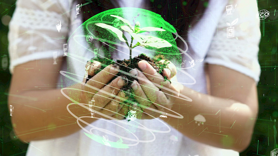 Pando richtet sich an Personen, die Wert auf eine nachhaltige Anlagestrategie legen. (Bild: Shutterstock.com/Blue Planet Studio)