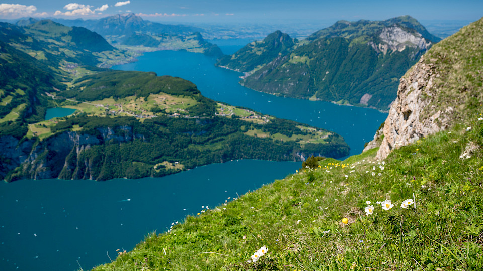 Die Innerschweizer Kantone sind steuerlich sehr attraktiv für hoch qualifizierte Fachkräfte. (Bild: Shutterstock.com/schame)