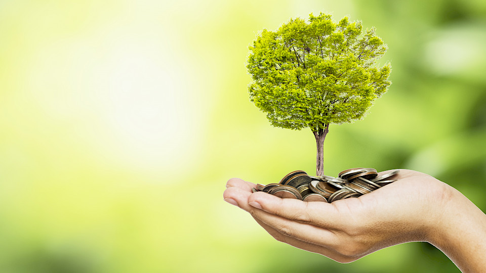 Die neue Anlagegruppe Private Equity Co-Investment I stellt eine attraktive Anlagemöglichkeit für Schweizer Pensionskassen dar. (Bild: iStock)