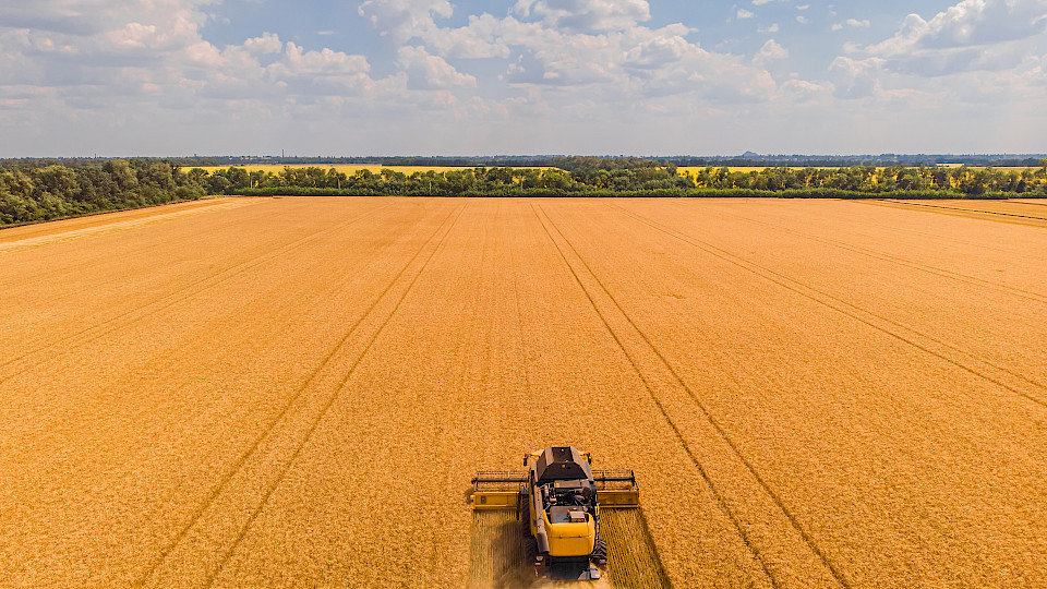 Die Ukraine und Russland repräsentieren rund 28% der globalen Weizenexporte. (Bild: Shutterstock.com/Ryzhkov Oleksandr)