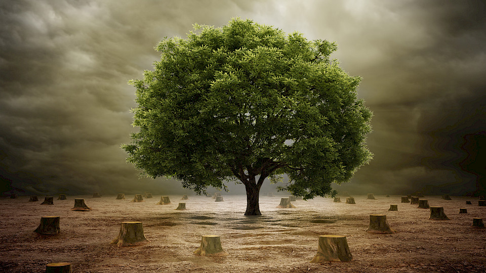 Das Thema Klimawandel ist eines der am meisten nachgefragten bei nachhaltigen Investments. (Bild: Shutterstock.com/Mopic)