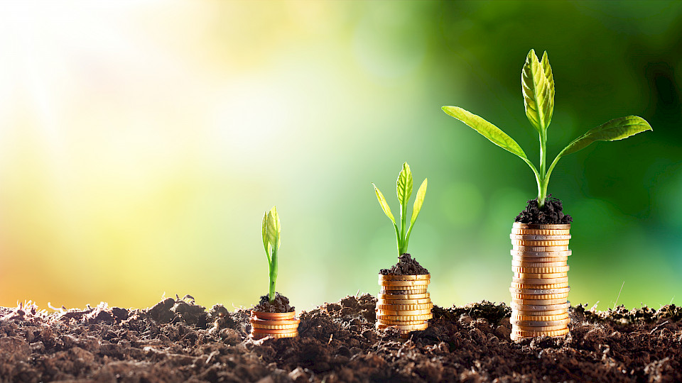 Wenn nachhaltig, dann richtig, scheinen sich Anlegerinnen und Anleger zu sagen. (Bild: Shutterstock.com/Romolo Tavani)