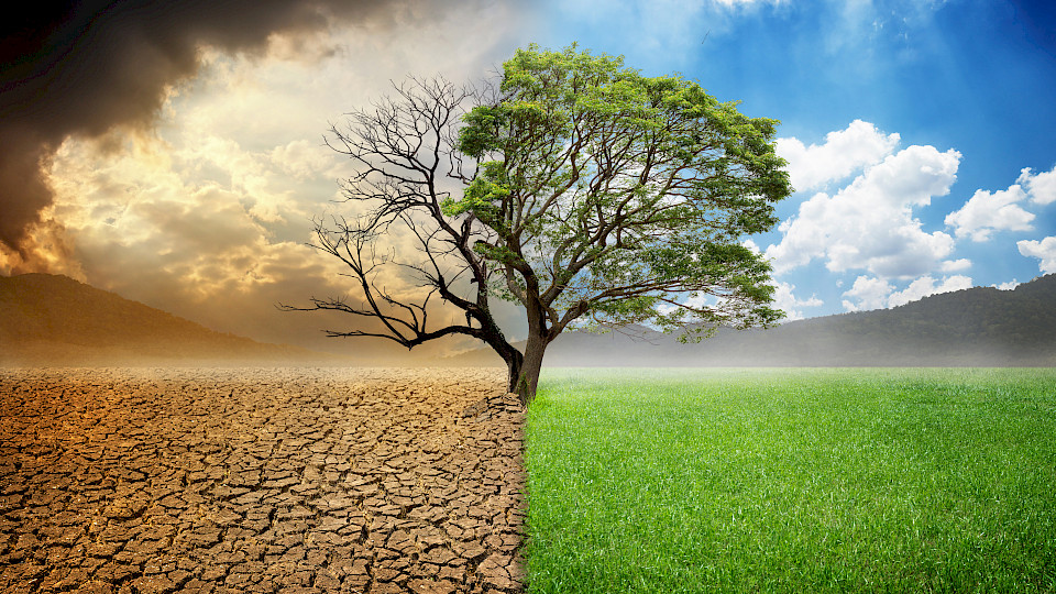 Für Greenpeace sind Anlagen erst nachhaltig, wenn sie zu den Pariser Klimazielen beitragen. (Bild: Shutterstock.com/kpboomjit)