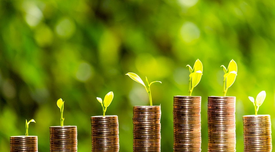 Das Emissionsvolumen von Schwellenländer-Green-Bonds  im Jahr 2021 war mehr als doppelt so hoch wie 2020. (Bild: Shutterstock.com/Freedom365day)