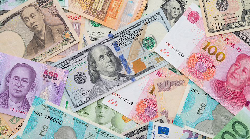 Im Vergleich zu den Vorjahren sind die US-Dollar-Allokationen gestiegen, während das Interesse am Euro nachzulassen scheint. (Bild: Shutterstock.com/Pla2na)