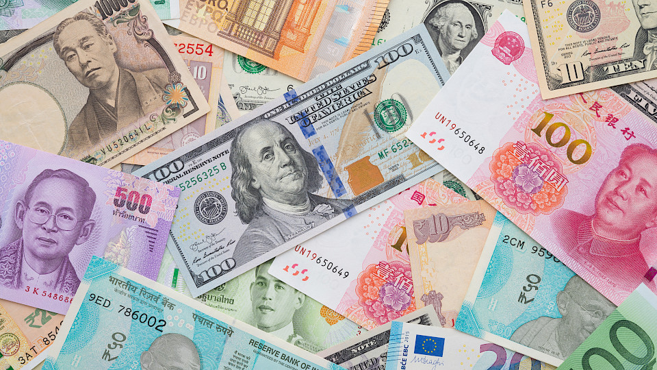 Im Vergleich zu den Vorjahren sind die US-Dollar-Allokationen gestiegen, während das Interesse am Euro nachzulassen scheint. (Bild: Shutterstock.com/Pla2na)