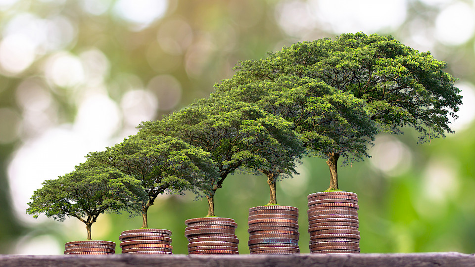 Regulieren ist kein Selbstzweck, auch wenn manchmal dieser Eindruck entsteht. Ziel sind Effizienz und Transparenz, in diesem Fall für Investitionen in nachhaltiges Wachstum. (Bild: Shutterstock.com/Sanook.plc)