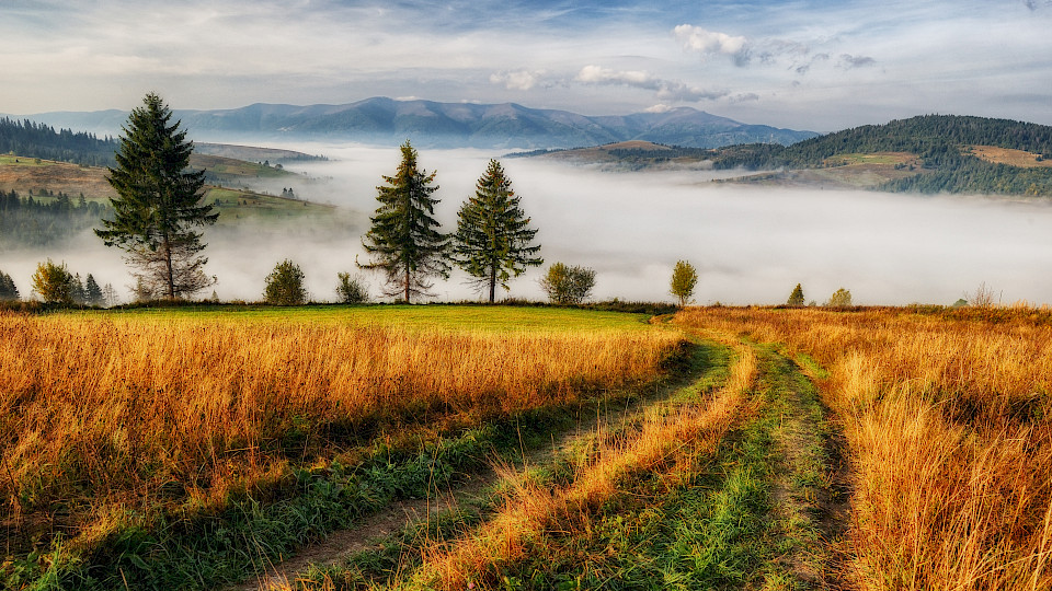 Der Herbst dürfte turbulent werden. Anleger sind gut beraten, ihr Portfolio zu diversifizieren, zum Beispiel mit den gemischten Portfolios der Zürich Anlagestiftung. (Bild: zvg)
