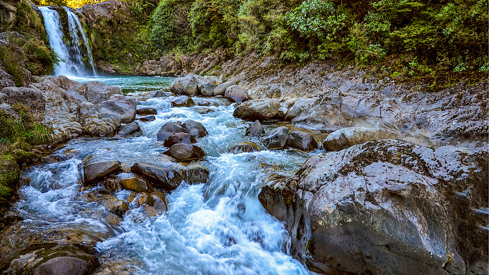 Der Schweizer Fondsmarkt leidet unter Abflüssen (Bild: shutterstock / VarnaK).