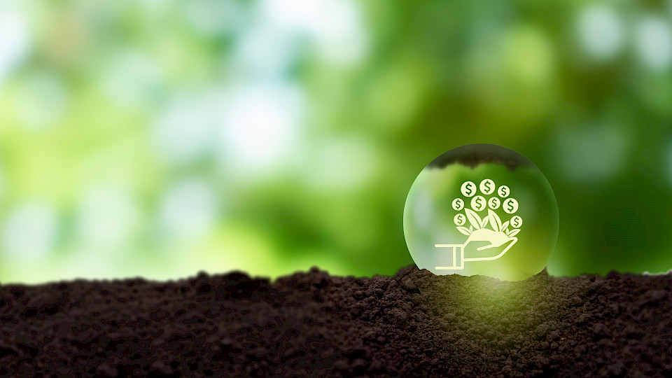 Radicant will die Nachhaltigkeitsziele (SDGs) der Uno fördern und auch selbst leben. (Bild: Shutterstock.com/3rdtimeluckysdtudio)