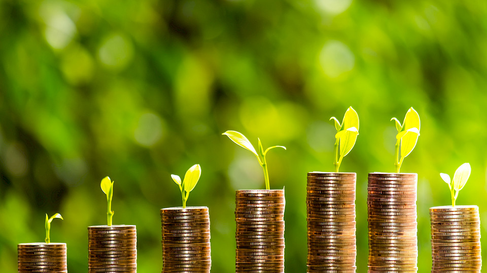 Wer einen breiten Zugang zum Thema sucht, muss laut Capital Group derzeit verschiedene Fonds kaufen. Bild: Shutterstock.com/freedom356days)