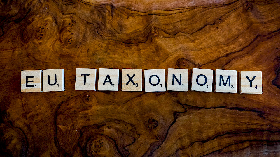 Invesco-Experten warnen: Je Taxonomiekonformer ein Portfolio, desto höher der Tracking Error (Bild Nicholas Ahonen/Shutterstock)