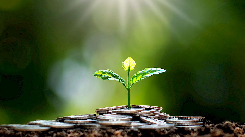 Nachhaltigkeit spielt beim Anlegen eine immer bedeutendere Rolle. (Bild: Shutterstock.com/MEE KO DONG)