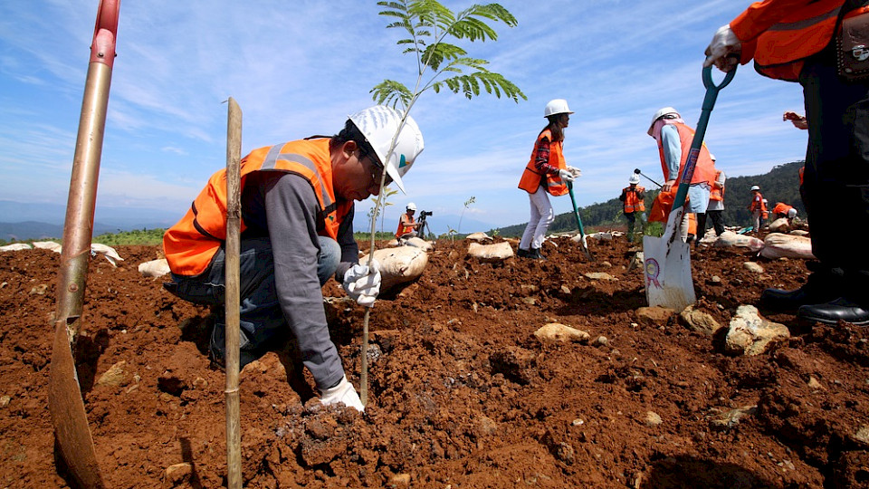 Arbeiter planzen Bäume auf einer früheren Nickel-Mine auf Sulawesi (Foto Kaisarmuda/Shutterstock)