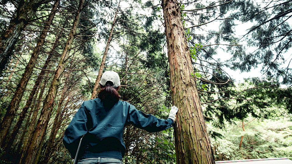 Naturkapital zum Schutz des Ökosystems ist als Anlagemarkt noch klein, entwickelt sich aber schnell. (Bild: Shutterstock.com/beeboys)