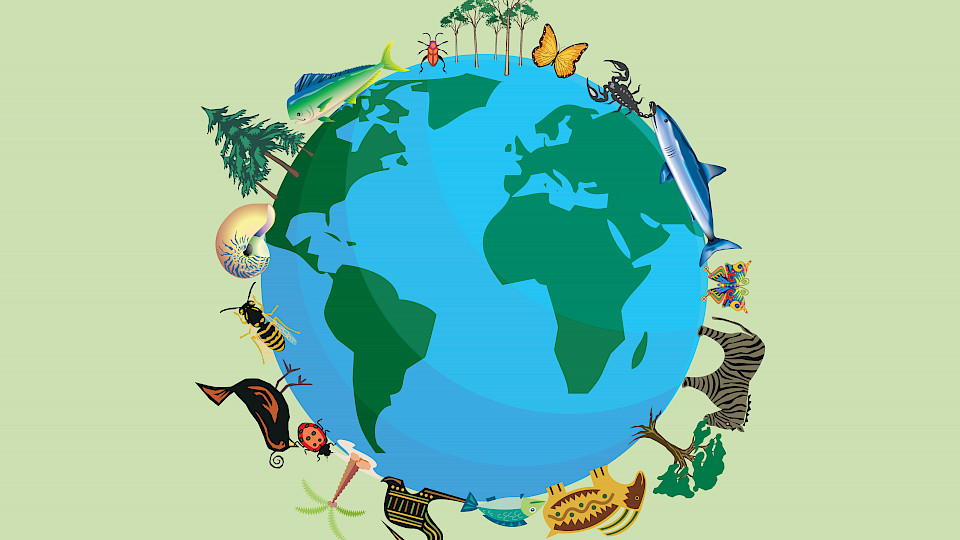 Biodiversität sollte in die Unternehmensanalyse einfliessen, fordern ESG-Strategen. (Bild: Shutterstock.com/Gabrieuska)