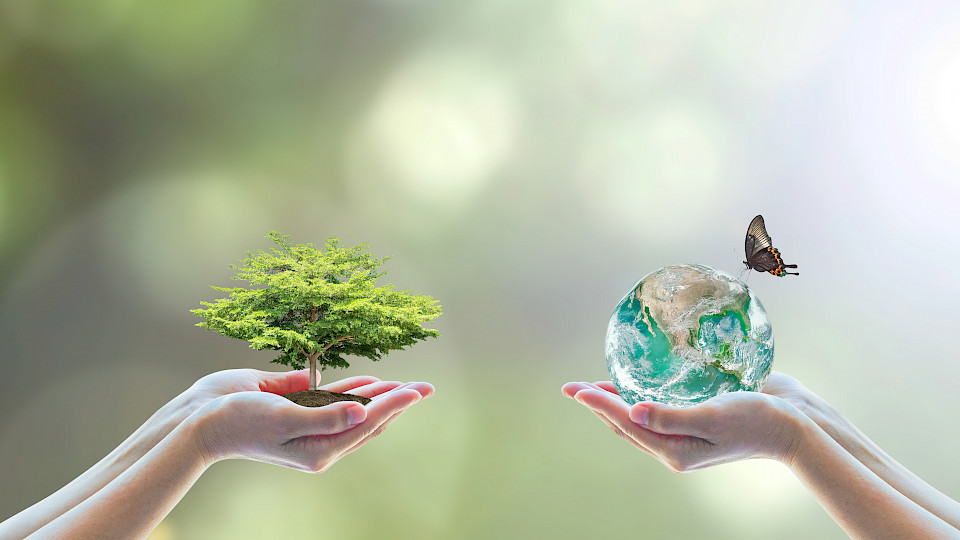 Der Erhalt von Tier- und Pflanzenarten, wie am UN-Weltnaturgipfel in Montreal beschlossen, betrifft auch Unternehmen und Investoren. (Bild: Shutterstock.com/Chinnapo)