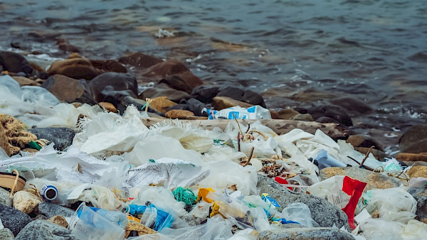 Das Leben unter Wasser erhalten