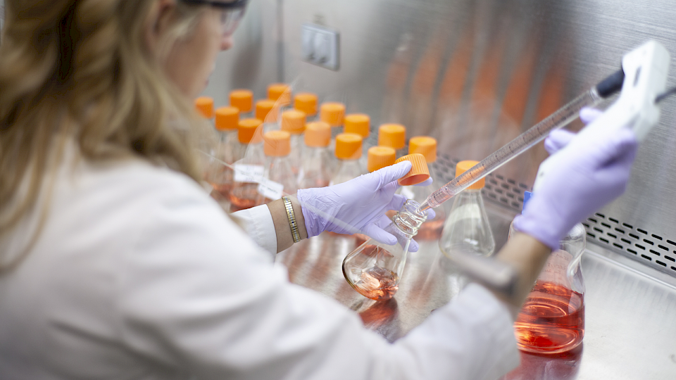 Pfizer startet offenbar Gespräche mit der Biotechfirma Seagen, zuvor hatte Merck & Co. schon mal eine Übernahme versucht. (Bild pd)