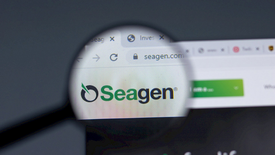 Pfizer hat ein Auge auf den Krebsspezialisten Seagan geworfen. Sie bietet insgesamt 43 Milliarden Dollar für die Firma. (Bild Shutterstock/Postmodern Studio)