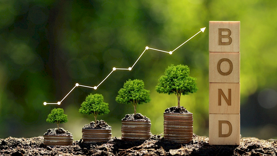 (Bild Shutterstock/chayanuphol)