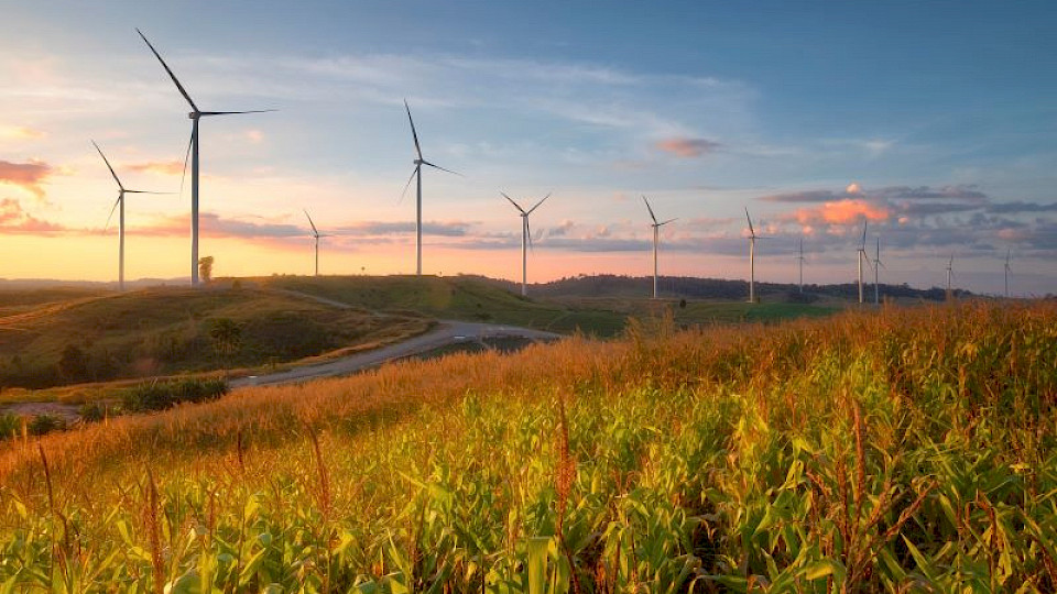 ESG-Investitionen sind immer langfristig, ist man bei Fidelity überzeugt. (Bild pd)