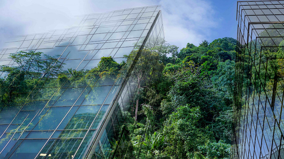 Das Robeco Webinar zeigt auch, wie die ESG-Integration in den letzten zehn Jahren zur Performance beigetragen hat. (Bild pd)