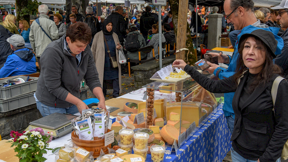 Die Teuerung sank in der Schweiz, trotz teureren Inlandsgütern. Bild Shutterstock/Stefano Ember)