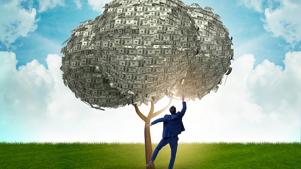 Gezielt pflücken: Die Graubündner Kantonalbank setzt auf Unternehmen mit bewährtem Geschäftsmodell, starker Marktposition und stetig positivem Cashflow. (Bild: Shutterstock.com/Elnur)