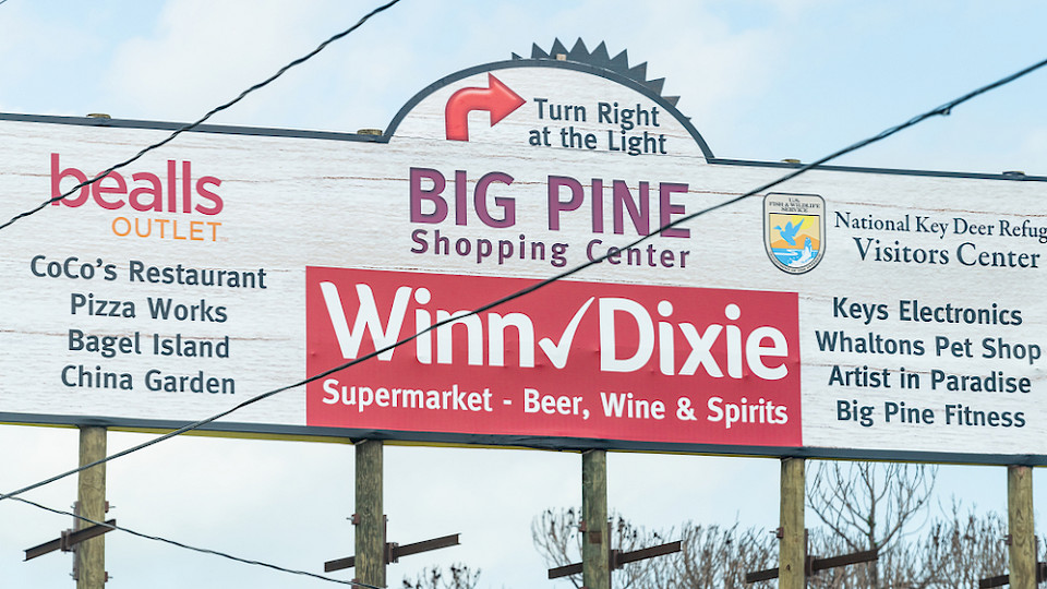 Aldi kauft in den USA die Ketten Winn-Dixie und Harveys. (Bild Shutterstock/Andriy Blokhin)